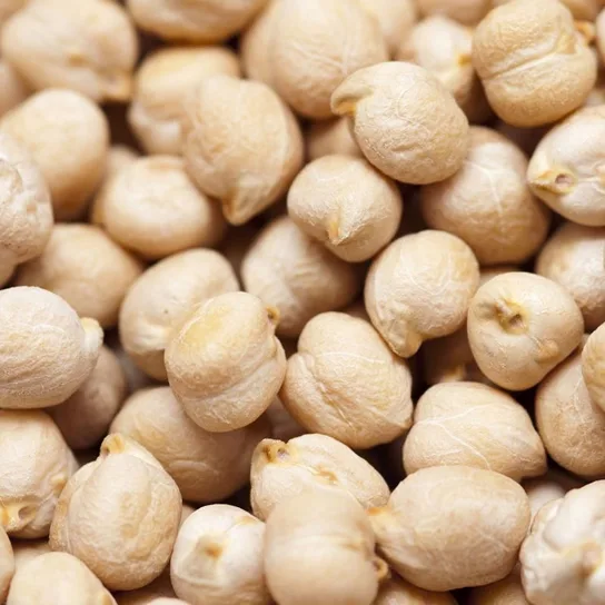 Garbanzo